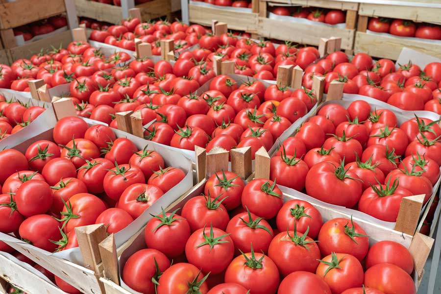 Wholesalers